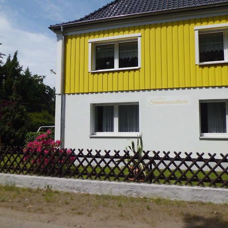 Ferienwohnung Im Haus Sonnenschein Beim Senftenberger See Hosena Екстер'єр фото